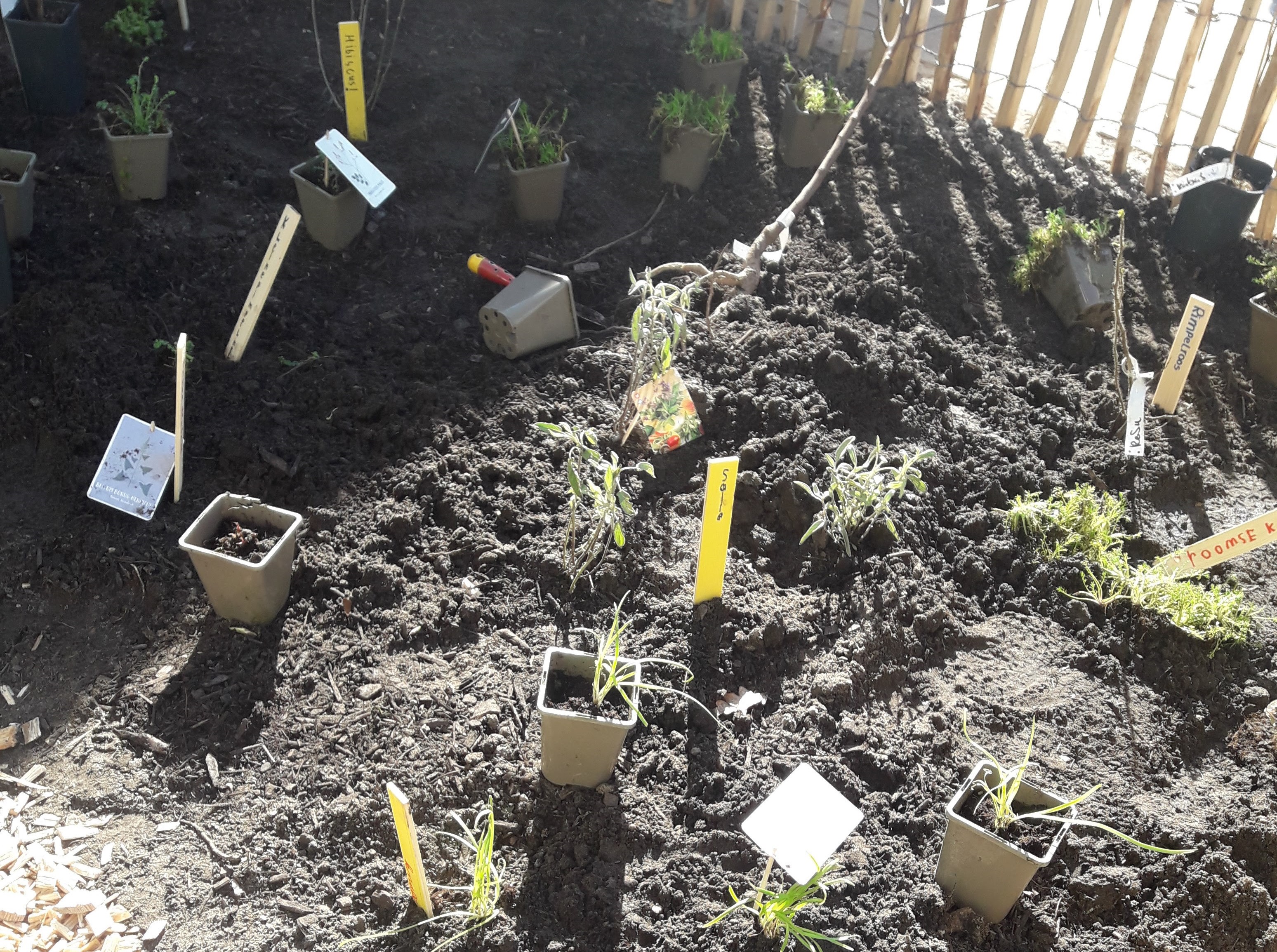 Bakjes en bordjes in de aarde