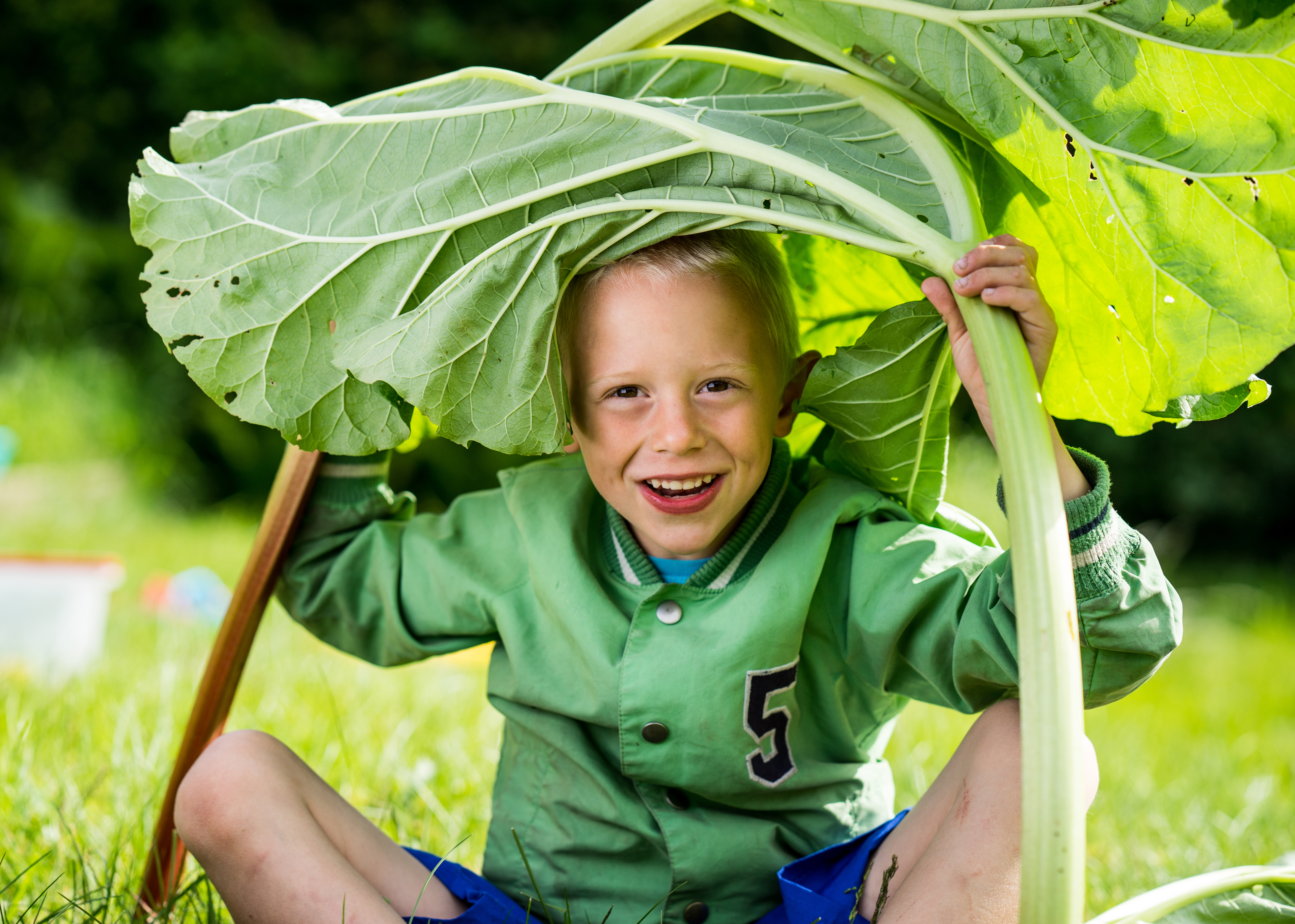 JLE jongen met rabarber