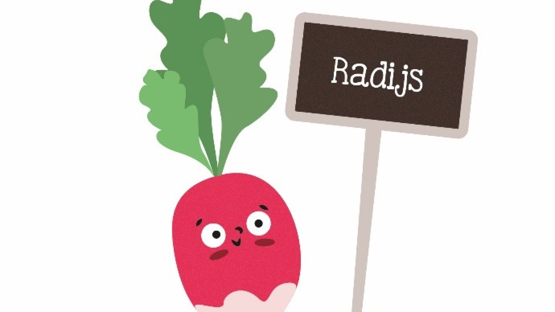 radijs