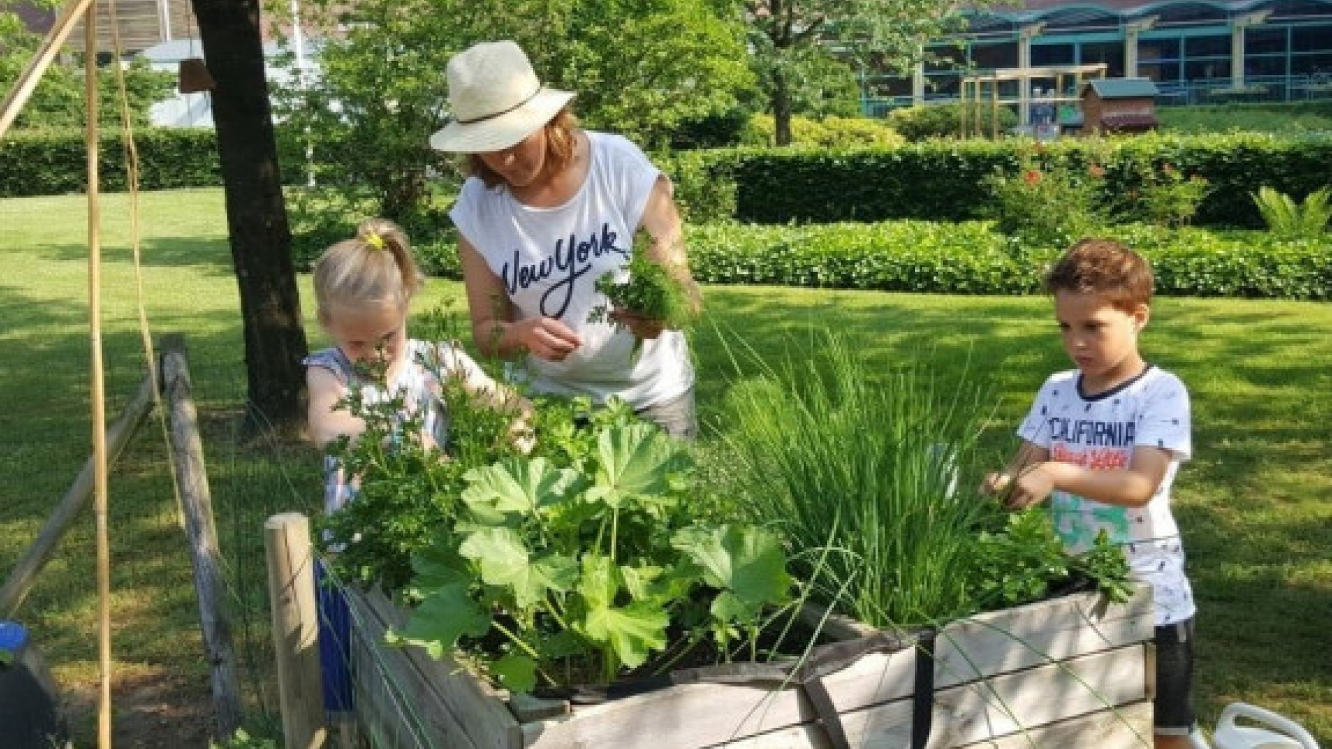 Opleiding tot moestuincoach