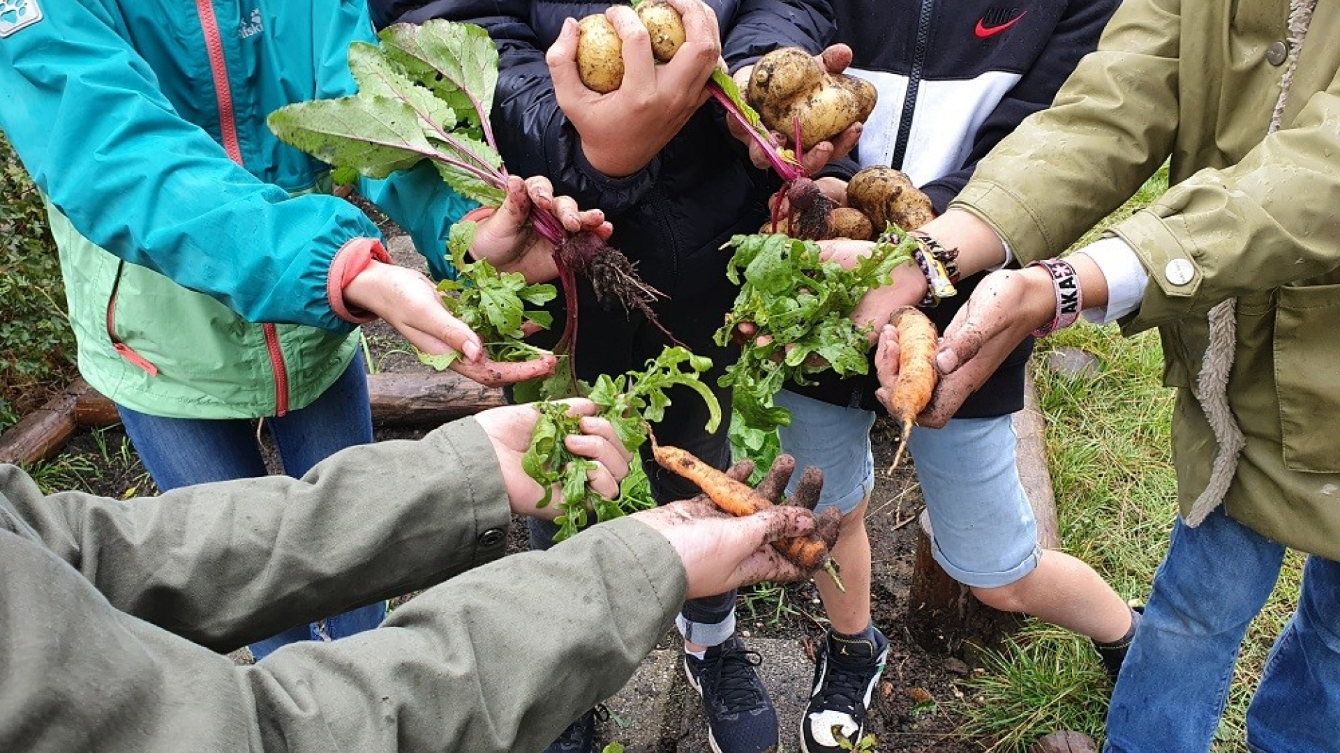 Moestuinieren