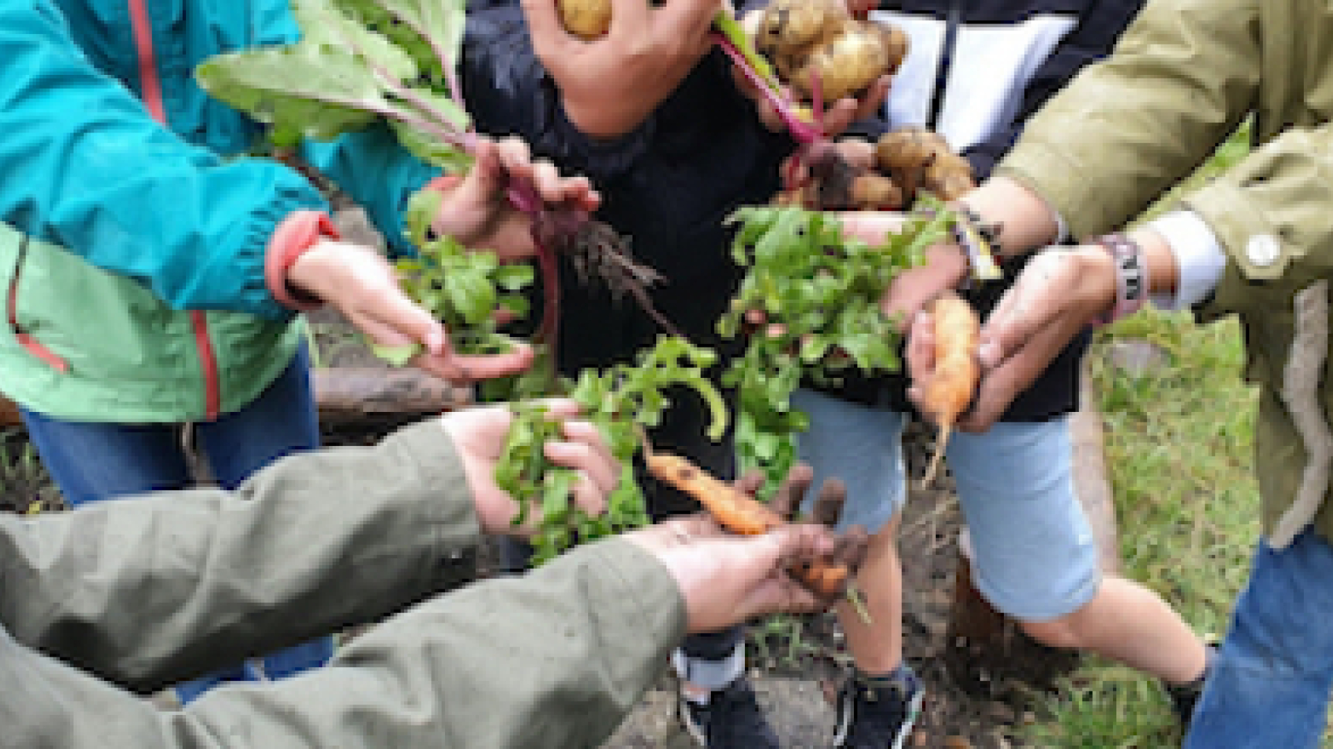 Moestuinieren