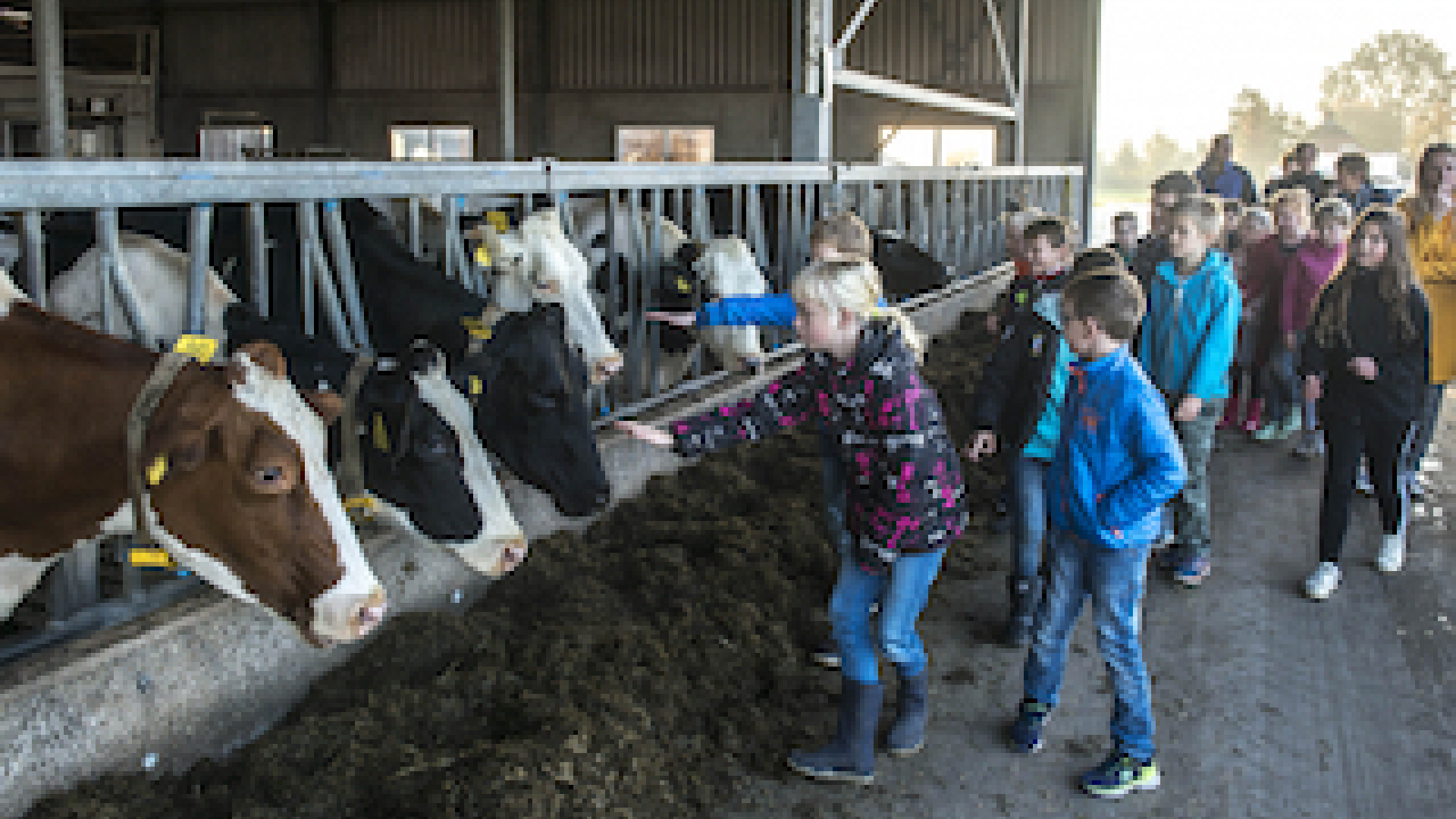 Boerderij educatie