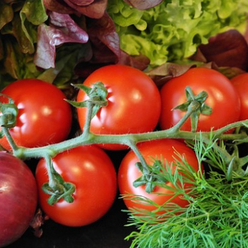 decoratieve afbeelding