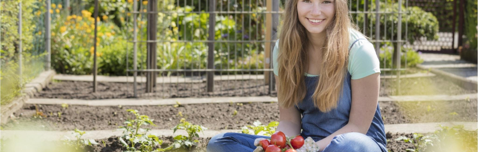Moestuincoaches Flevoland