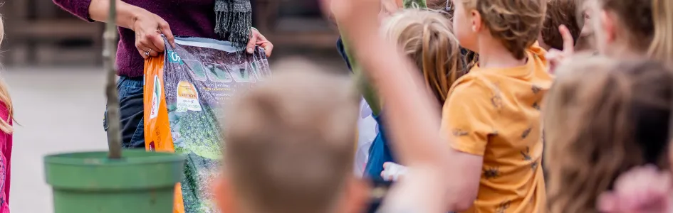 Alliantie Schooltuinen