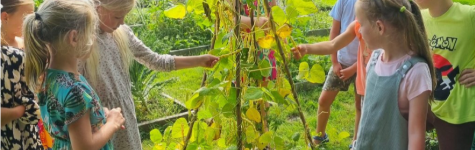 Kinderen in moestuin, foto Sanne Meijer