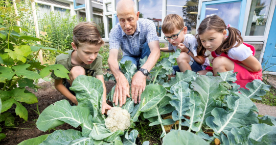 moestuinieren